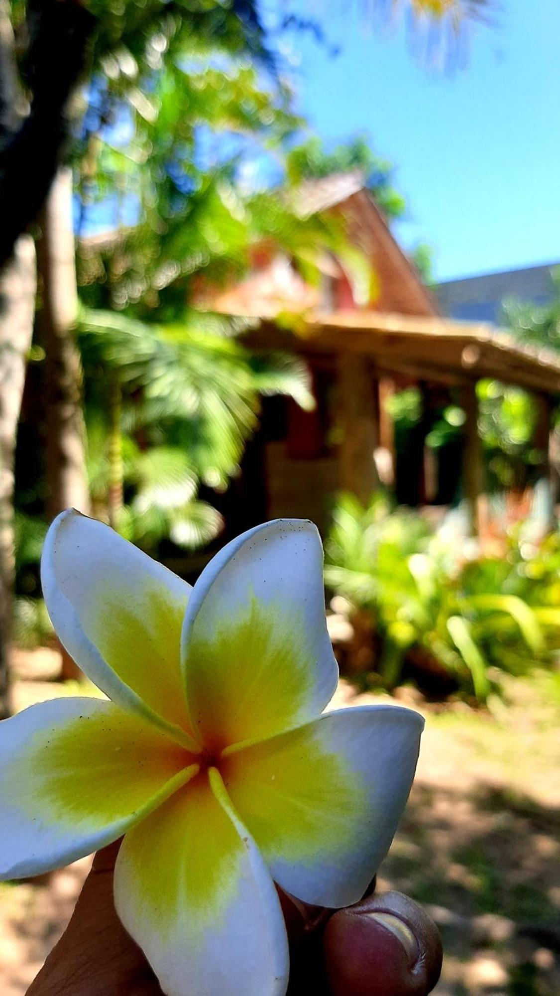 Praia Do Rosa Kaora Cabanas Номер фото