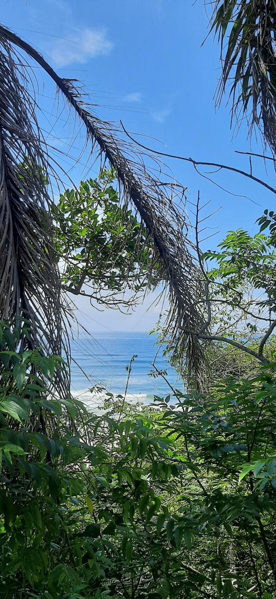 Praia Do Rosa Kaora Cabanas Номер фото